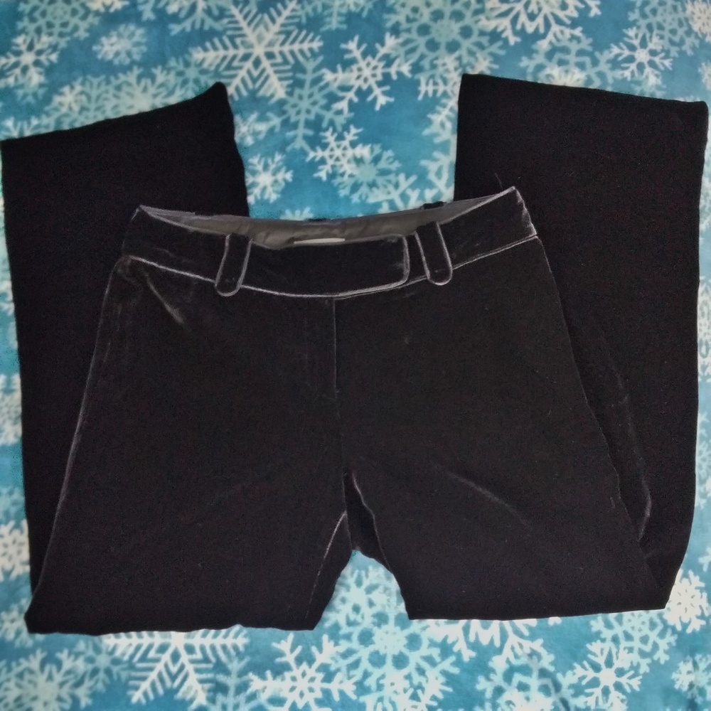 Ann Taylor Petites Wide Leg Velvet Margo Pants